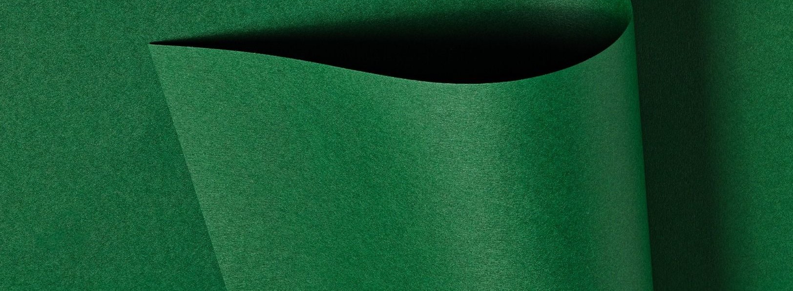 <br/>Colorplan Extracted<br/>Colorplan 50/50<br/>