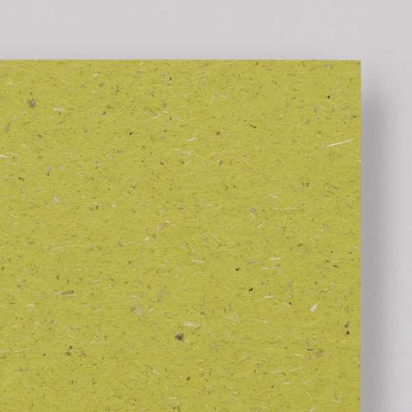 chlorophyll - Blattgrün<br/>