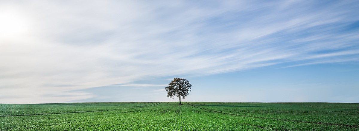 Neues Label für vegane Papiere <br/>