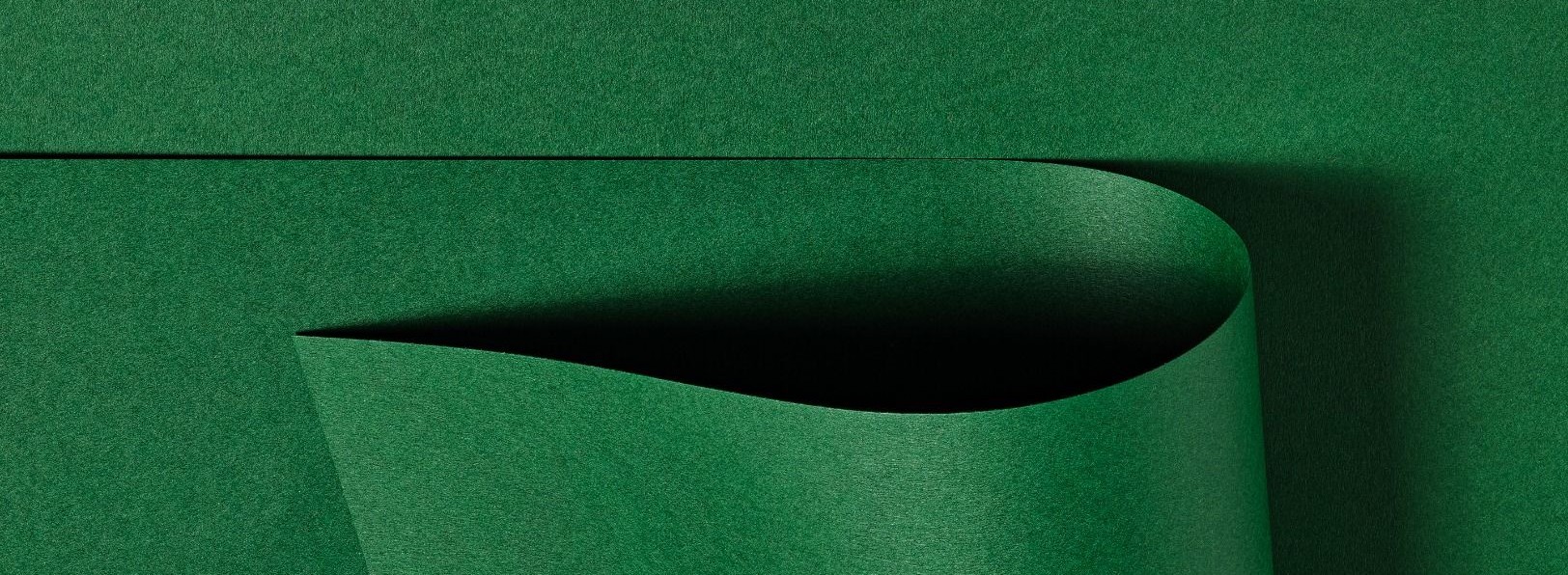 Colorplan 50/50 &amp; <br/>Colorplan Extracted