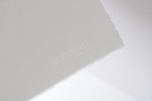 Somerset Book・matt・weiß 