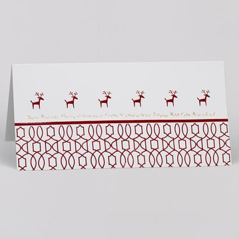 morepic-1