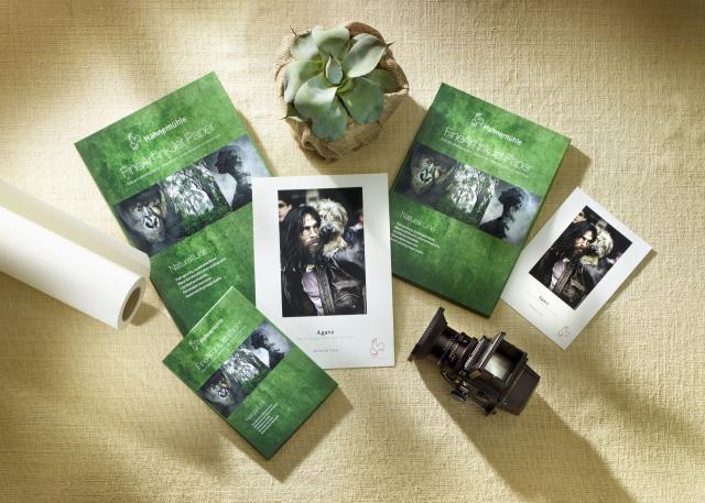 Agave・matt・weiß 