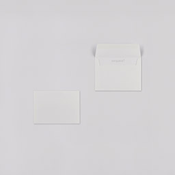 Conqueror Wove Hüllen・glatt・weiß/high white 