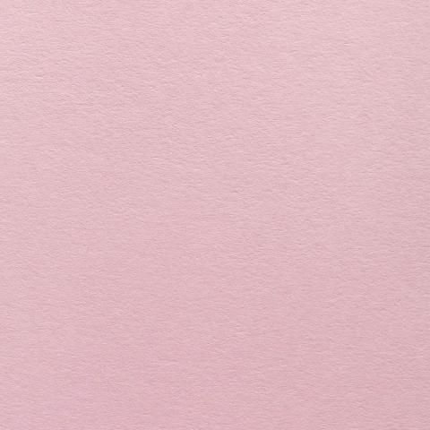 Colorplan Hüllen・plain (matt)・Candy Pink 
