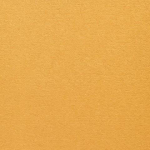 Colorplan Hüllen・plain (matt)・Citrine 