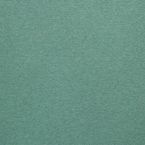 Colorplan Hüllen・plain (matt)・Emerald 