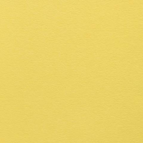 Colorplan Hüllen・plain (matt)・Factory Yellow 
