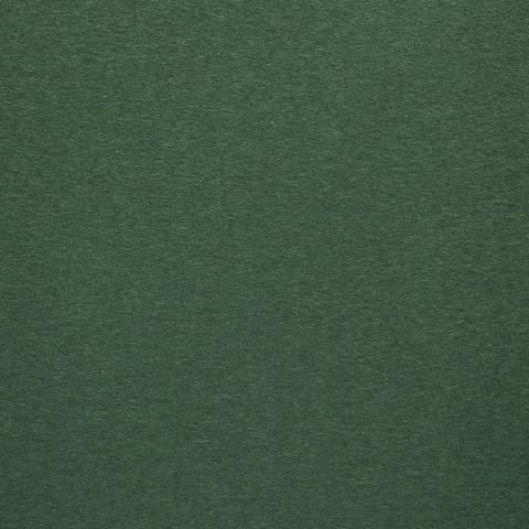 Colorplan Hüllen・plain (matt)・Forest 