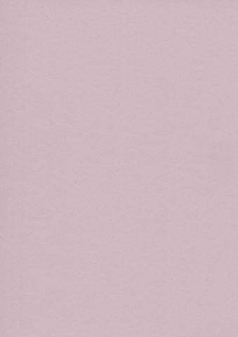 Colorplan Extracted・plain (matt)・Dusk 