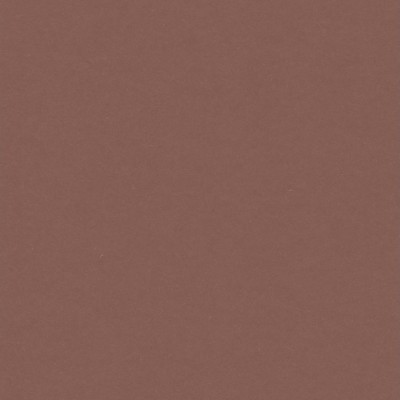 Colorplan Extracted Hüllen・plain (matt)・Fox 