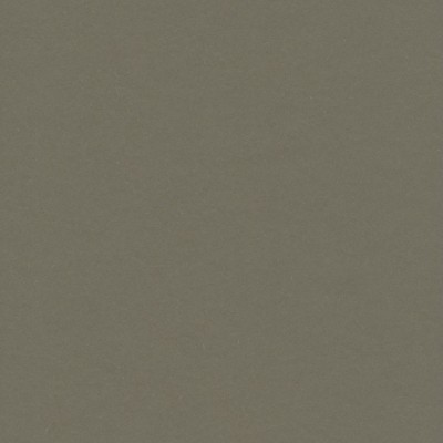 Colorplan Extracted Hüllen・plain (matt)・Jungle 