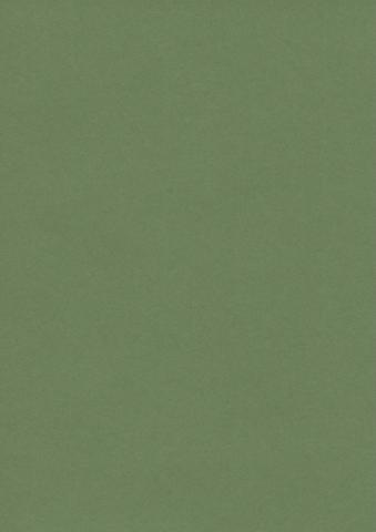 Colorplan Extracted・plain (matt)・Matcha 