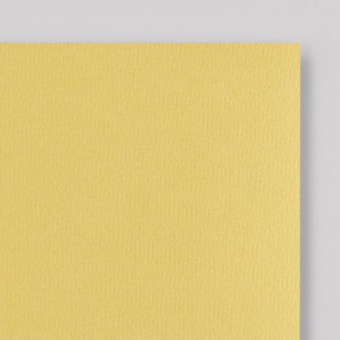 Pro Arte Ingres・gerippt・rapsgelb 