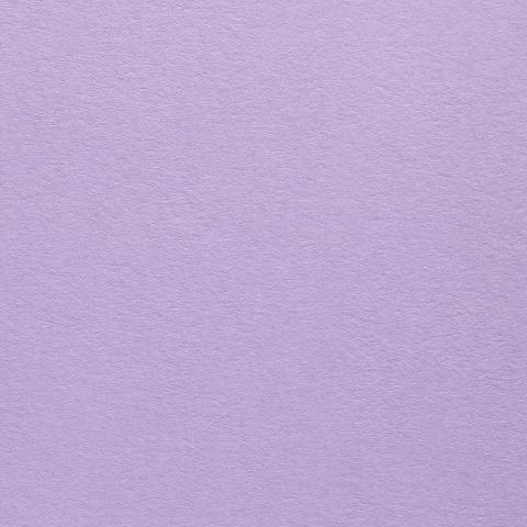 Colorplan Hüllen・plain (matt)・Lavender 