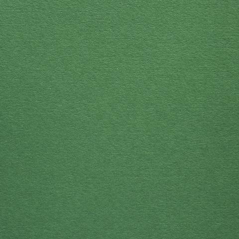 Colorplan・plain (matt)・Lockwood Green 