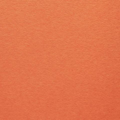 Colorplan Hüllen・plain (matt)・Mandarin 