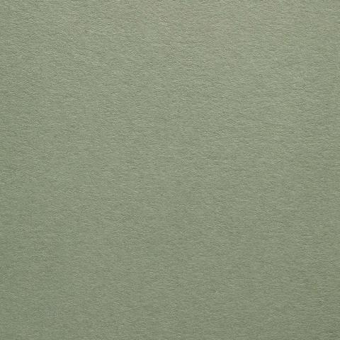 Colorplan Hüllen・plain (matt)・Mid Green 