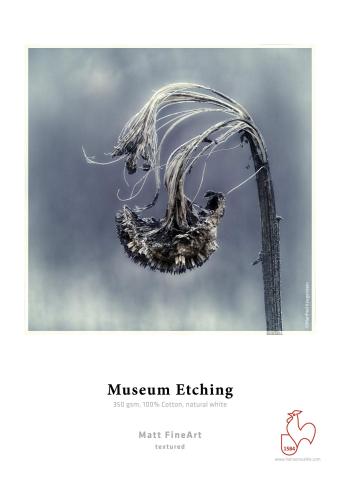 Museum Etching・matt・weiß 