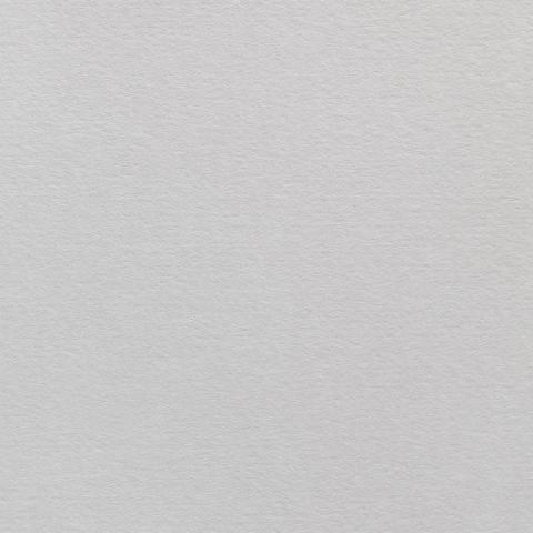 Colorplan・plain (matt)・Pale Grey 