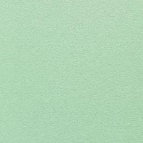 Colorplan Hüllen・plain (matt)・Park Green 