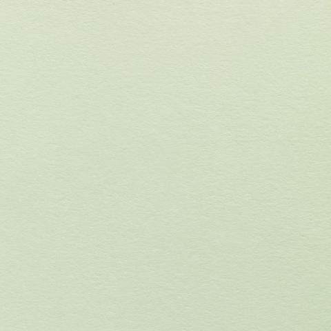 Colorplan・plain (matt)・Pistachio 