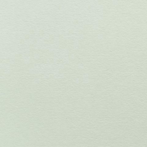 Colorplan Hüllen・plain (matt)・Powder Green 