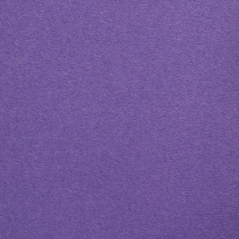 Colorplan Hüllen・plain (matt)・Purple 