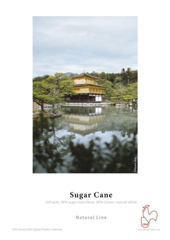Sugar Cane・matt・naturweiß 