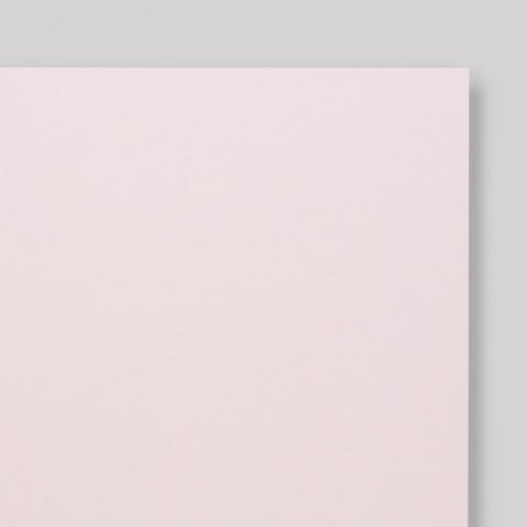 Extract・plain (matt)・shell 