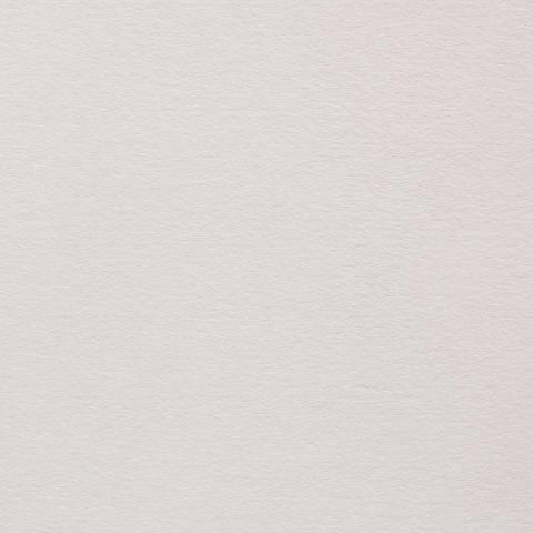 Colorplan・plain (matt)・Vellum White 