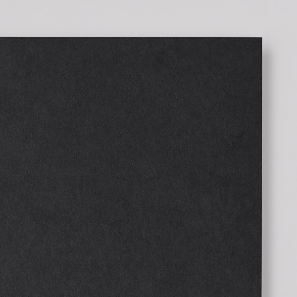 Elefantenhaut・glatt・schwarz 