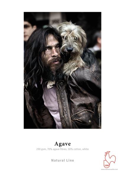 Agave・matt・weiß 