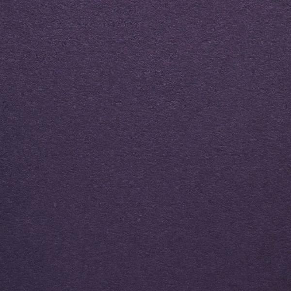 Colorplan・plain (matt)・Amethyst 