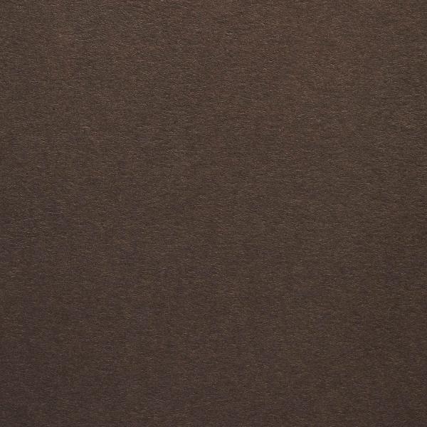 Colorplan・plain (matt)・Bark (Bagdad Brown) 