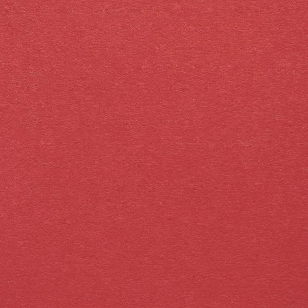 Colorplan・plain (matt)・Bright Red 