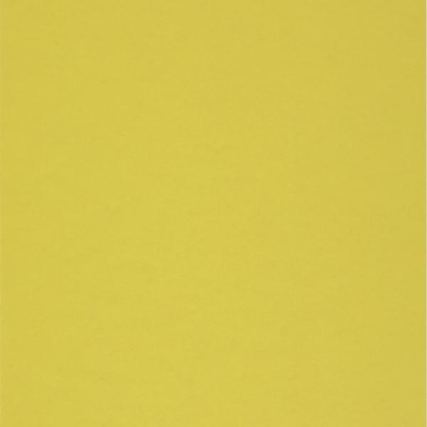 Colorplan・plain (matt)・Chartreuse 