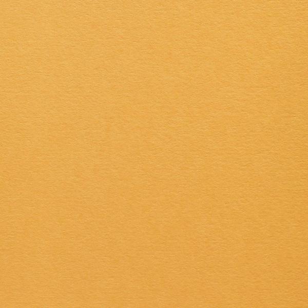 Colorplan Hüllen・plain (matt)・Citrine 