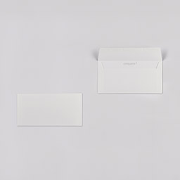 Conqueror Wove Hüllen・glatt・weiß/high white 