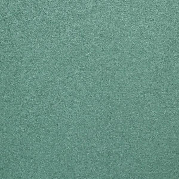 Colorplan Hüllen・plain (matt)・Emerald 