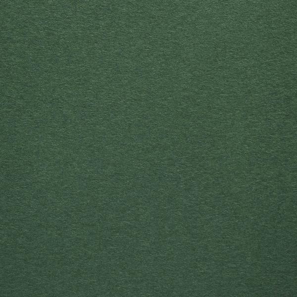 Colorplan・plain (matt)・Forest 