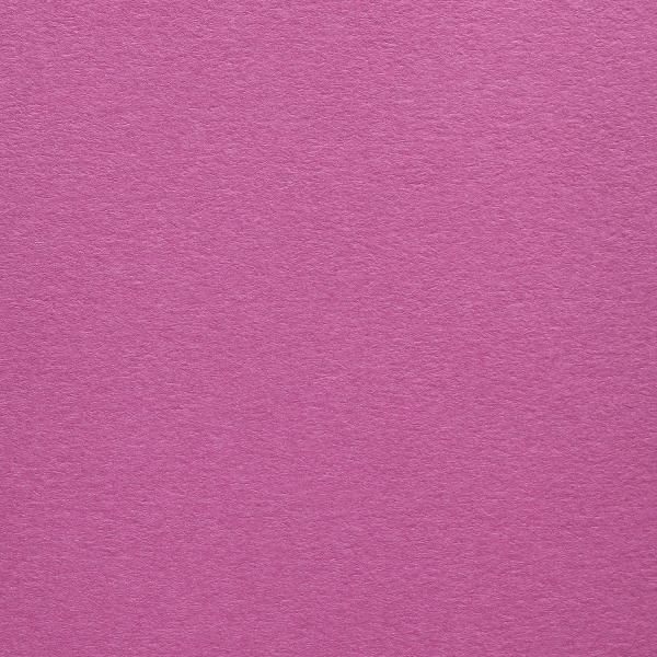 Colorplan・plain (matt)・Fuchsia 