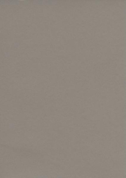 Colorplan Extracted・plain (matt)・Taupe 