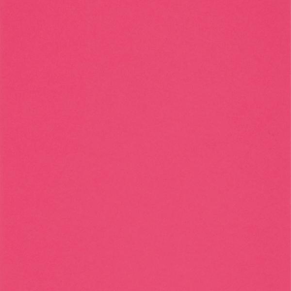 Colorplan・plain (matt)・Hot Pink 