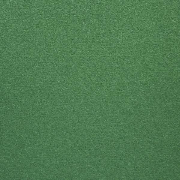 COLORPLAN HÜLLEN・plain (matt)・Lockwood Green 