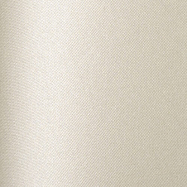 Lunar Hüllen・feinkorngeprägt・platinum 