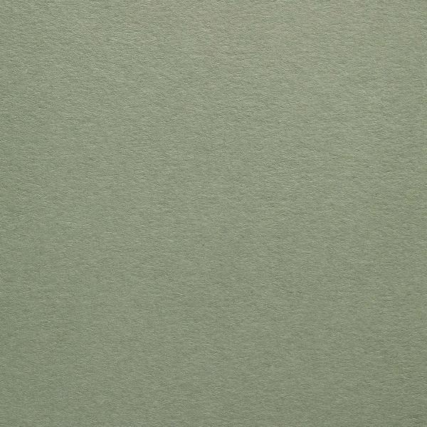 Colorplan・plain (matt)・Mid Green 