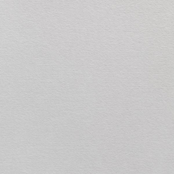 Colorplan・plain (matt)・Pale Grey 