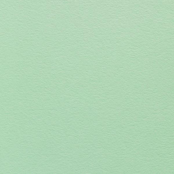 Colorplan Hüllen・plain (matt)・Park Green 
