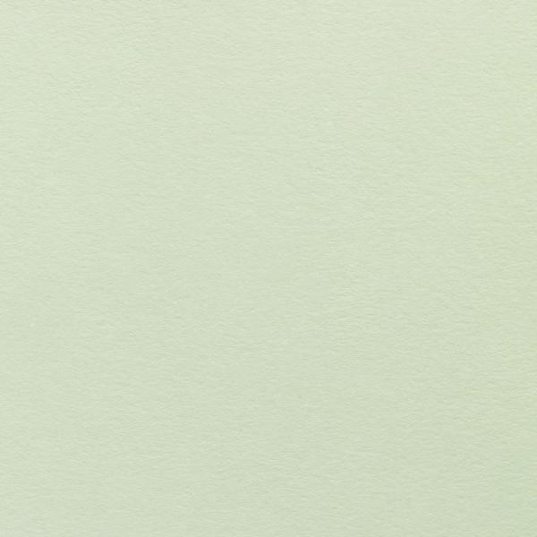 Colorplan・plain (matt)・Pistachio 